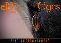 ePic Eyes