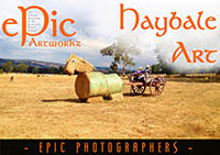  Haybale Art ePic