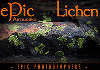 ePic Lichen