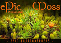 ePic Moss