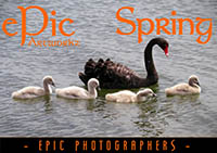 Season of Spring ePic