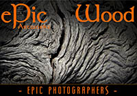 ePic Wood