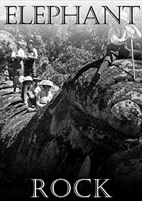 Artworkz Factsheet on Elephant Rock
