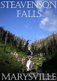 Artworkz Steavenson Falls